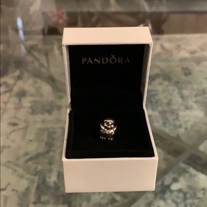 PANDORA charm ✨✨
